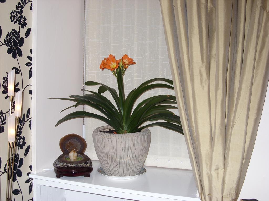 Alba Guest House Aberdeen Bagian luar foto